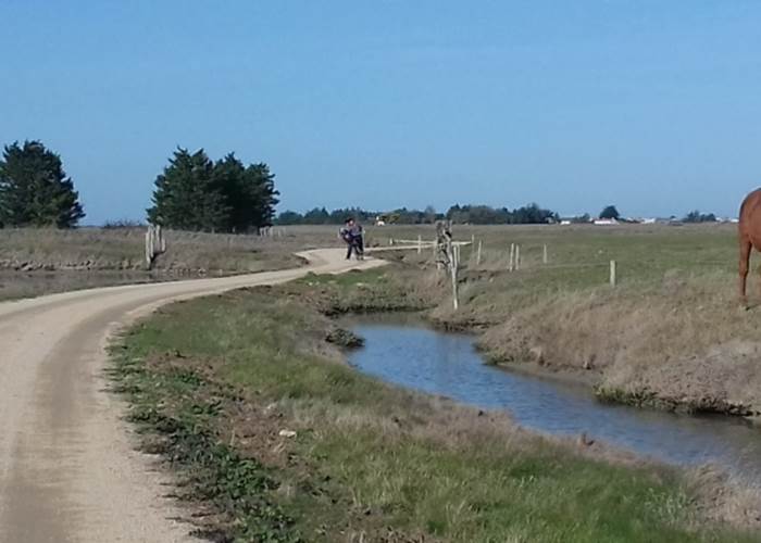 20171119_122505-750x422