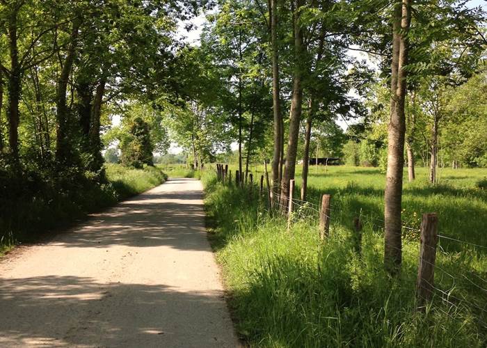Velo route 81 vers Nay