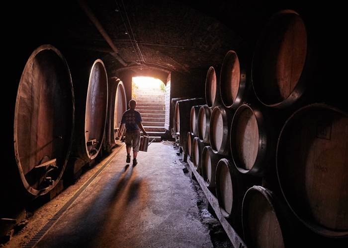 Les caves historiques de vieillissement