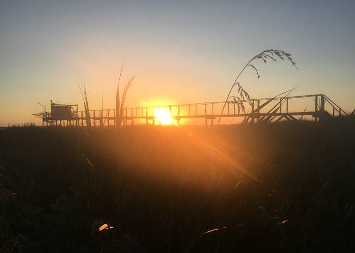 Port des Callonges-page