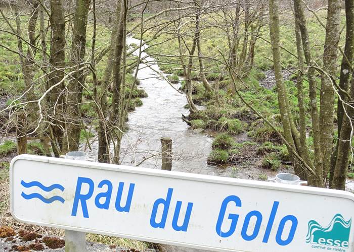 le ruisseau du Golo à Bras-Bas