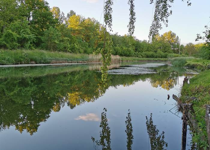 Canal des Ardennes