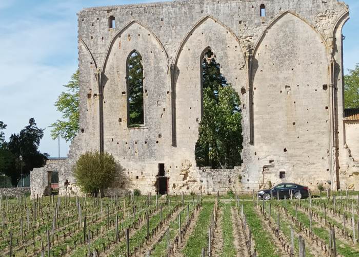 Nid Cosy Bordeaux - La Grande Muraille