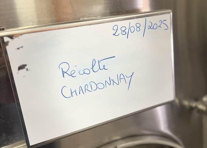 chardonnay