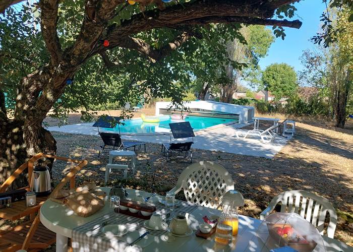 Petit déjeuner sous le saule-page