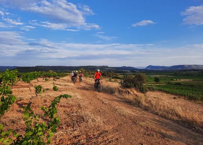 Balade dans les vignes des corbières en vtt électrique