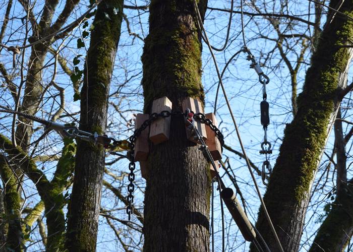 Système de serrage des cables