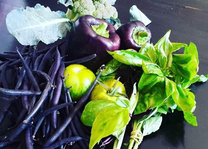 Retour de Marché