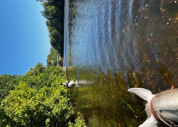 Balade à cheval sur les bords de la Dordogne