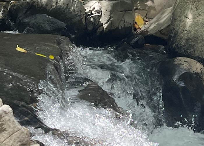 saut d'acomat Pointe Noire