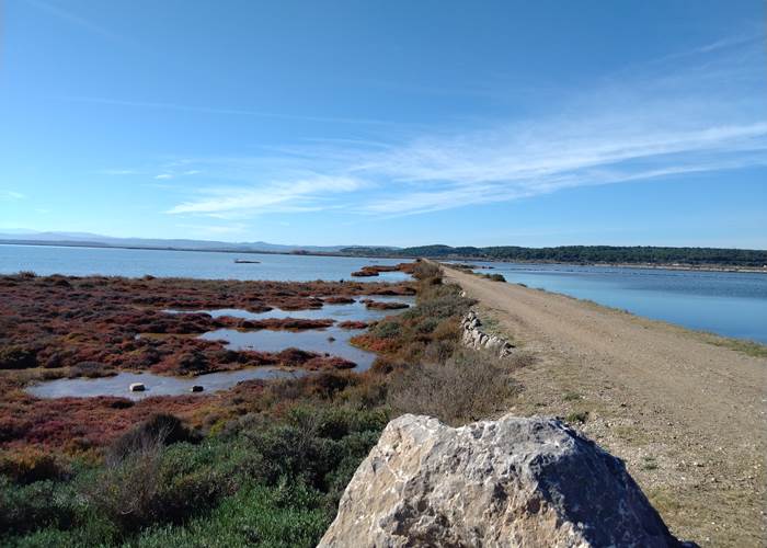 De superbes balades dans la nature