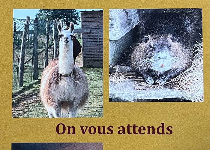 Sans titre