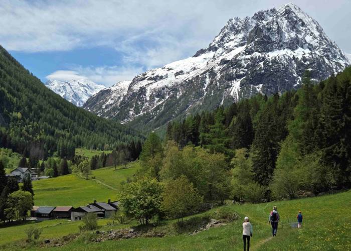 Vallée de Vallorcine