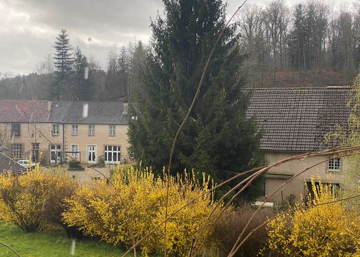 Forsythia de la Manufacture