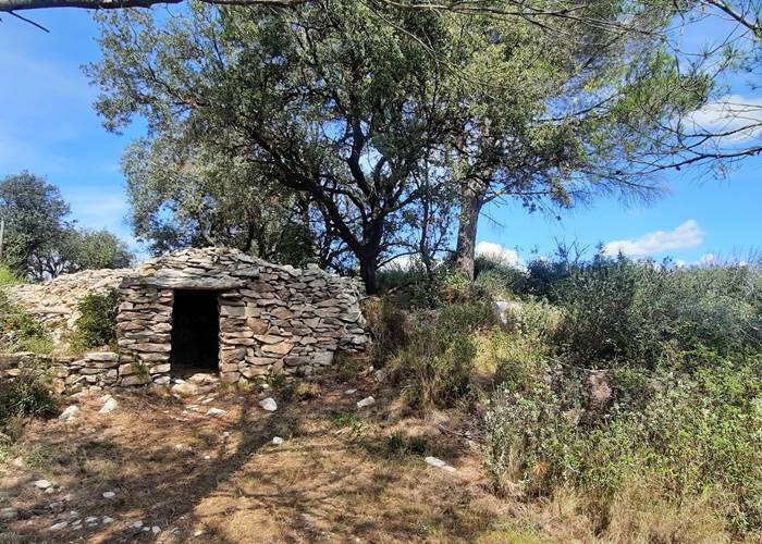 Le dolmen: vestiges de Mailhac