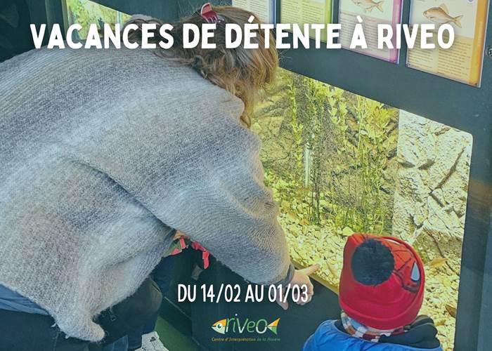vacances-detente-activite-famille-wallonie
