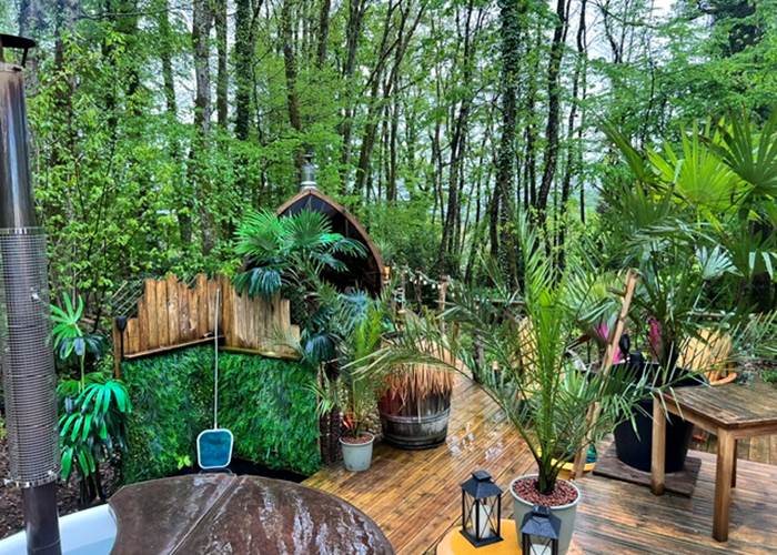 Ambiance tropicale avec Sauna