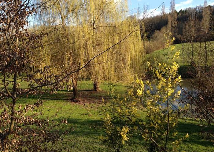 Spring