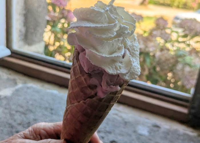 Service  Glace   en terrasse  tous les  après midi