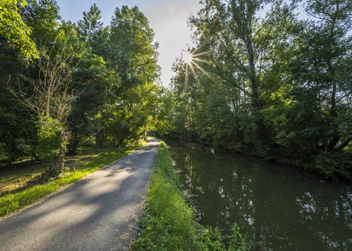 Sentier du Marais Poitevin - Copyright Julien Gazeau