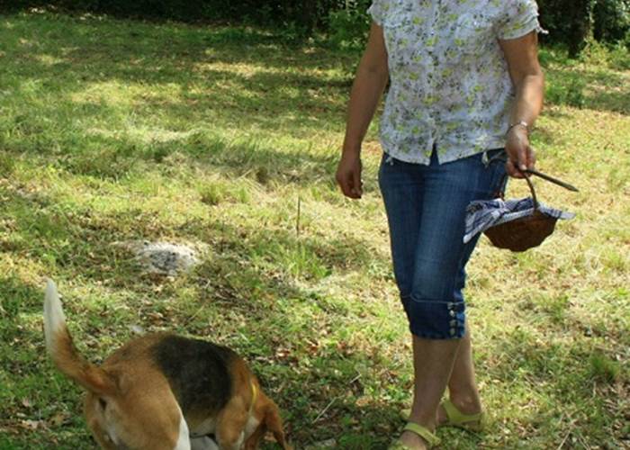 Truffe Passion à Limogne © Lot Tourisme - Truffe Passion 130615-155326