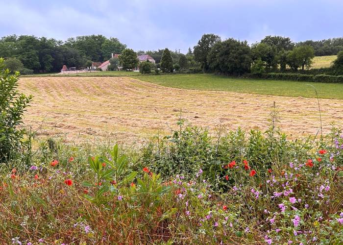 Les alentours du Domaine