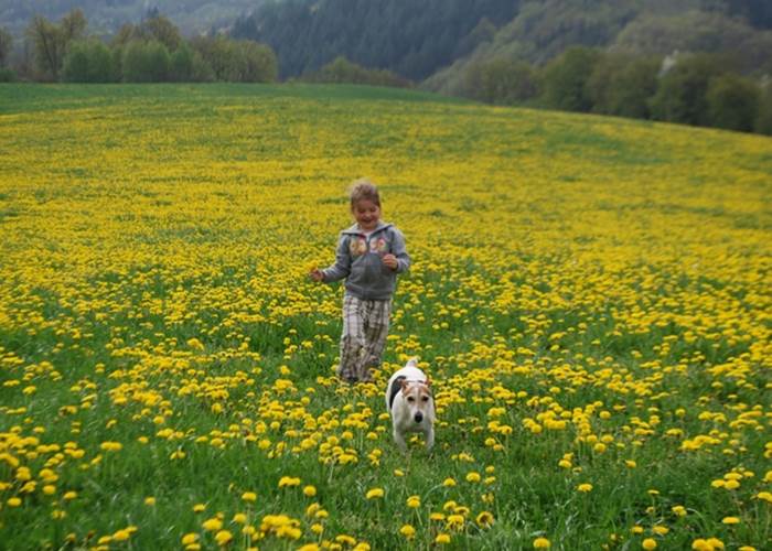 Avril, évadez vous au Ranch des Lacs Maison d'hôtes en Limousin.