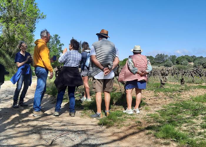 Balade vigneronne avec les vignerons de Mailhac