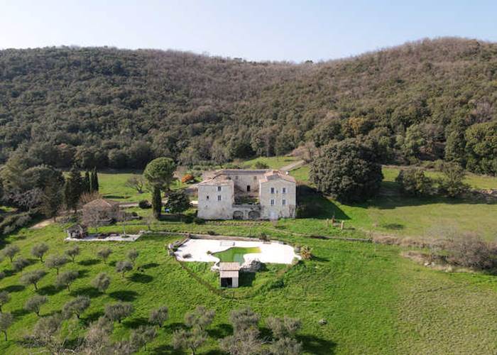 mas, piscine, bar, jacuzzi, terrasse d'ete, oliviers pour huile d'olives,