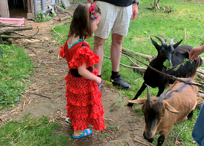 un déguisement pour rendre visite aux chèvres ...