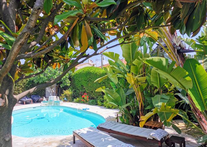 la piscine a Blue Dream