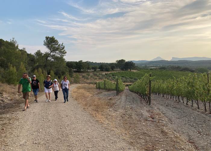 Visite de domaine