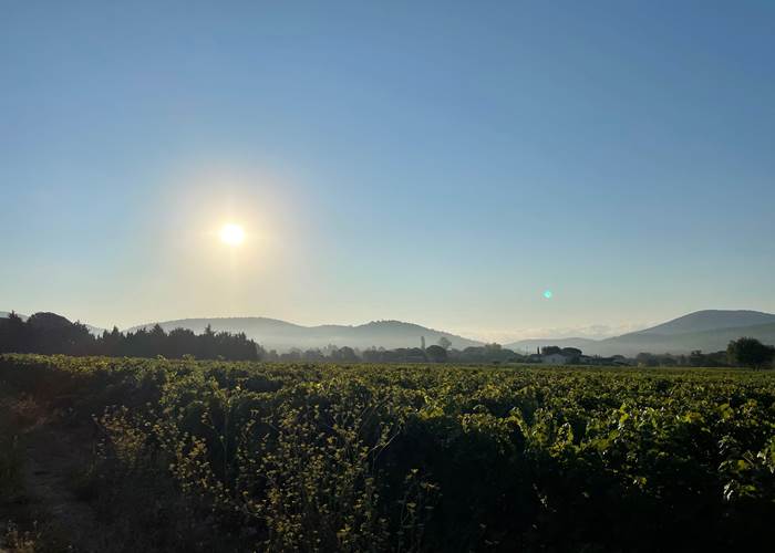 Au dessus des vignes