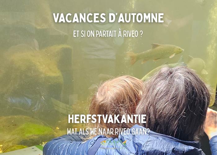 vacance-automne-famille-activite-famille-riveo-ardenne