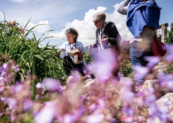 Chateau-fort-Lourdes-visite-Pyrénées-musée-jardin