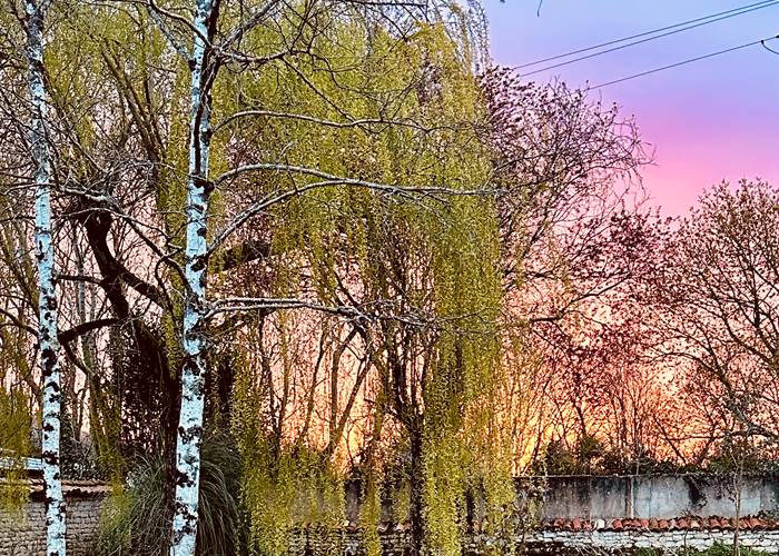 Jardin coucher de soleil_La Cavalerie