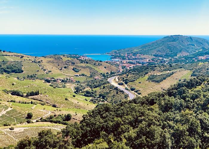 Vue sur Collioure