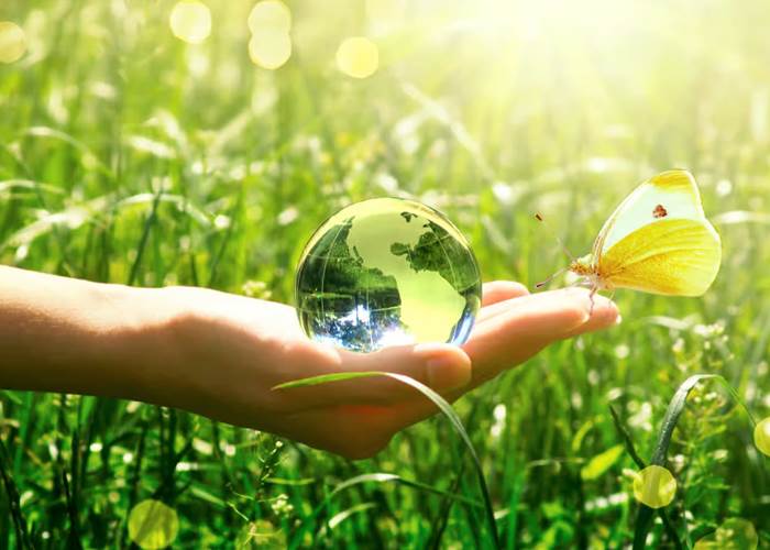 Environnement