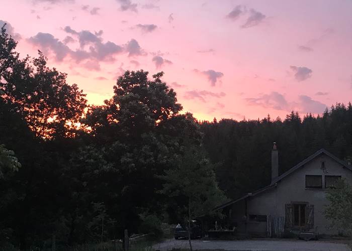 Au frais dans la maison - Dans la foret le matin a la fraiche