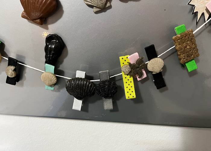barrettes à cheveux