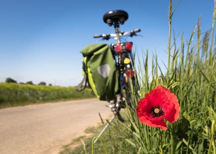 Photo by Thomas B cyclisme