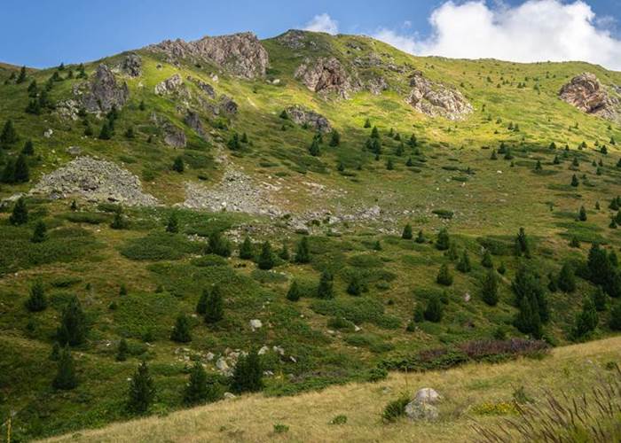 Découvrir la Vallée d'Aspe, les meilleures activités