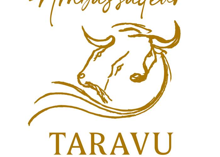 Abbartello kayak Corse ambassadeur Taravu