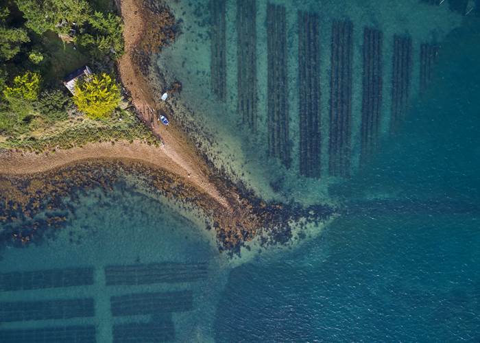 Île Creïzic