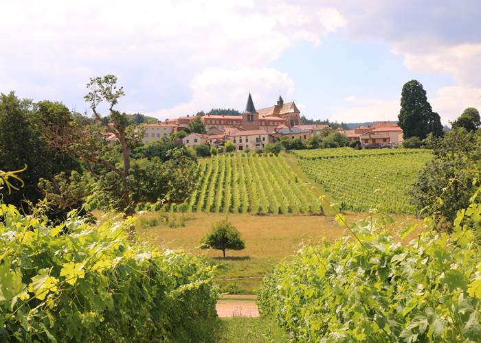 Le Vignoble de la Côte de Roannaise, Ambierle