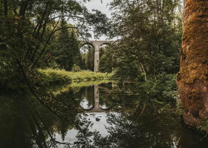 La Forêt du Pays de Chimay. Crédit photo : Le Pays des Lacs