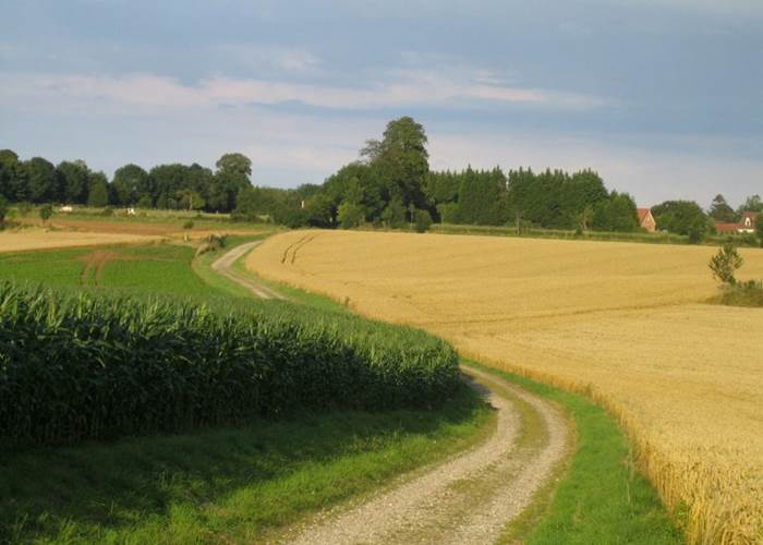 Château de Behen Chemin porte de Boencourt