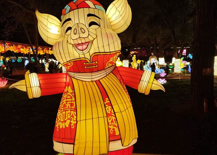 Signe chinois du Cochon