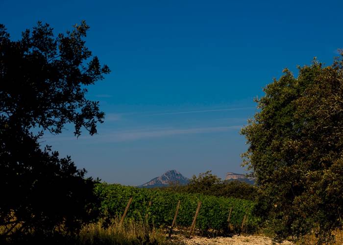 Vue sur le Pic Saint Loup et l'Hortus