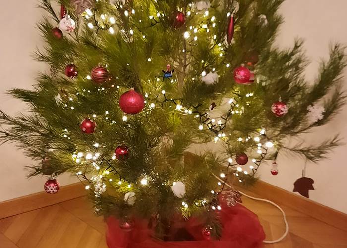 Les fêtes de fin d'année à Le Coq du Nord-Mailhac